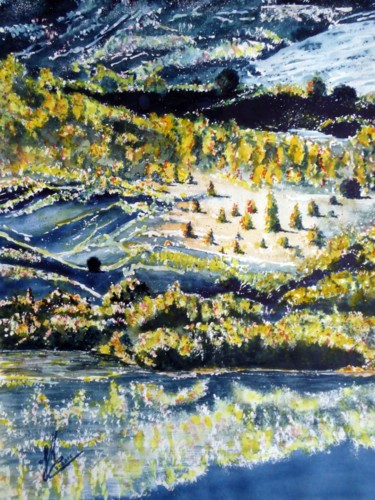 Peinture intitulée "Sombre lac" par Jean Marc Collombat, Œuvre d'art originale, Aquarelle