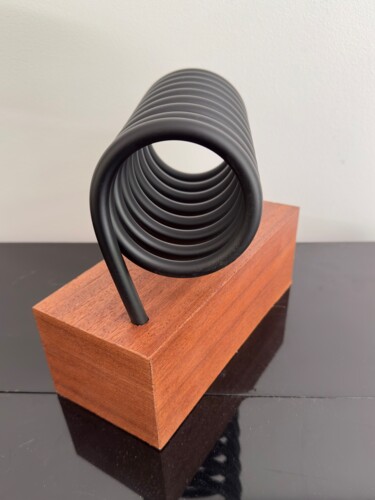 Escultura titulada "Immobilisation" por Jean-Marc Gardeux, Obra de arte original, Acero inoxidable