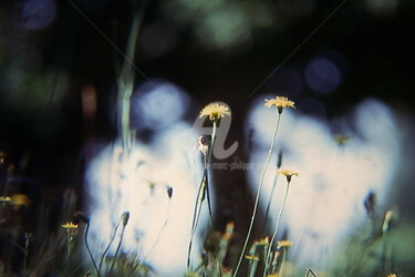 Fotografie mit dem Titel "FANTÔMES" von Jean-Marc Philippe (Jimpy), Original-Kunstwerk, Analog Fotografie