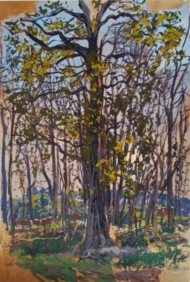 Peinture intitulée "Vieux chêne" par Jean-Marie Brault, Œuvre d'art originale, Gouache