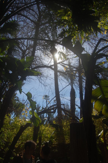 Fotografia intitulada "LE JARDIN DE MAJORE…" por Jean Marie Cloarec, Obras de arte originais