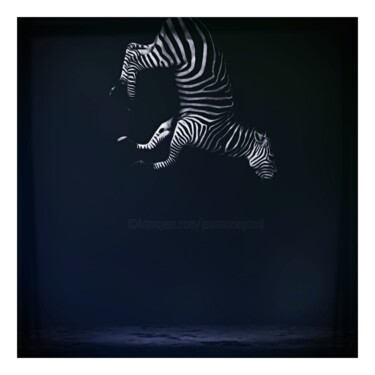 Digitale Kunst mit dem Titel "Equus Zebra Last Sp…" von Jean-Marie Gitard (Mr STRANGE), Original-Kunstwerk, Fotomontage