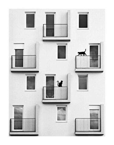 Цифровое искусство под названием "NEIGHBORS" - Jean-Marie Gitard (Mr STRANGE), Подлинное произведение искусства, Фотомонтаж