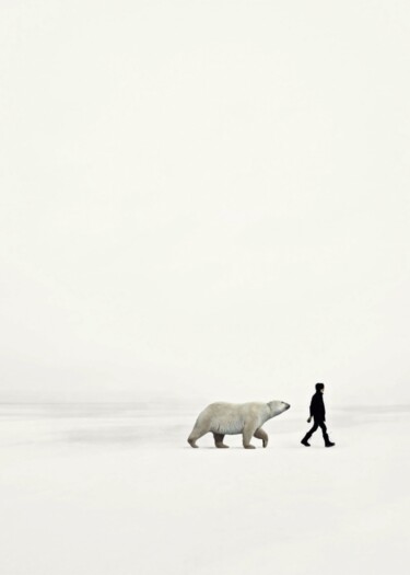 제목이 "Arctic"인 디지털 아트 Jean-Marie Gitard (Mr STRANGE)로, 원작, 포토 몽타주 나무 들것 프레임에 장착됨