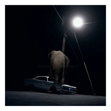 Arts numériques intitulée "Nocturnals Rambling" par Jean-Marie Gitard (Mr STRANGE), Œuvre d'art originale, Collage numérique