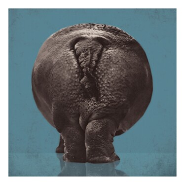 Arte digital titulada "Hippopotamus" por Jean-Marie Gitard (Mr STRANGE), Obra de arte original, Collages digitales