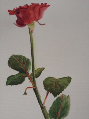 Картина под названием "La rose" - Jean-Marie Gleizes, Подлинное произведение искусства, Акварель