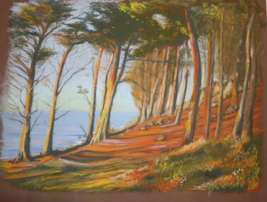 Painting titled "Pointe du Dourven" by Jean-Marie Nicol, Original Artwork, Pastel