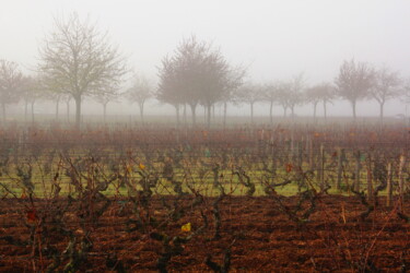 「Bourgogne」というタイトルの写真撮影 Jean-Marie Viratによって, オリジナルのアートワーク, デジタル