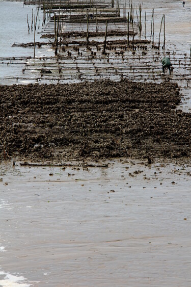 Photographie intitulée "Pêcheur d'huîtres" par Jean-Marie Virat, Œuvre d'art originale, Photographie numérique