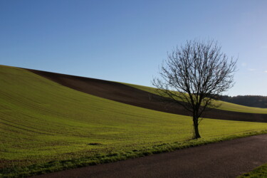 Photographie intitulée "Paisy Cosdon #1, Pa…" par Jean-Marie Virat, Œuvre d'art originale, Photographie numérique