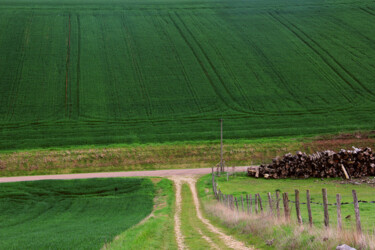 Photographie intitulée "Paisy Cosdon #4" par Jean-Marie Virat, Œuvre d'art originale, Photographie numérique