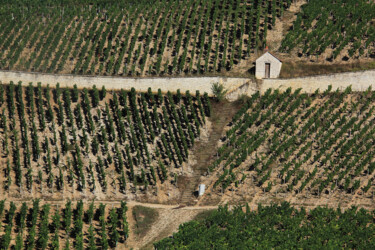 Photographie intitulée "Vignes, Chablis 2" par Jean-Marie Virat, Œuvre d'art originale, Photographie numérique