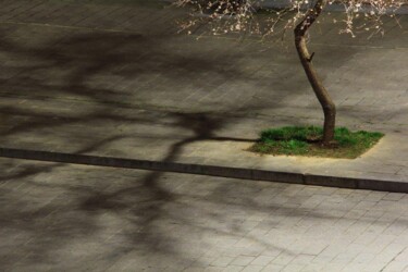 Photographie intitulée "arbre" par Jean-Marie Virat, Œuvre d'art originale, Photographie numérique