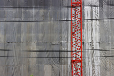 Photographie intitulée "Red crane" par Jean-Marie Virat, Œuvre d'art originale, Photographie numérique