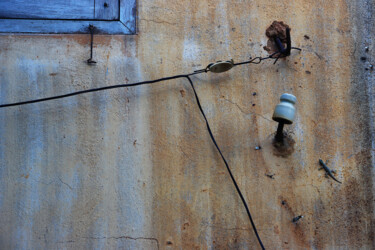 Photographie intitulée "le gecko" par Jean-Marie Virat, Œuvre d'art originale, Photographie numérique