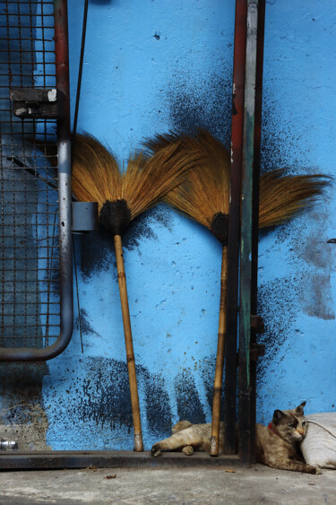 Photographie intitulée "blue cat" par Jean-Marie Virat, Œuvre d'art originale, Photographie numérique