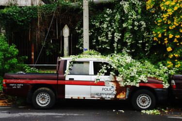 Photographie intitulée "flower power" par Jean-Marie Virat, Œuvre d'art originale, Photographie numérique