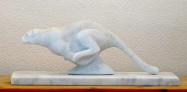 雕塑 标题为“Carrara Marble Wild…” 由Jean-Michel Garino, 原创艺术品, 石
