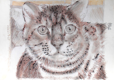 Drawing titled "GOLETTO : Chat roux…" by Jean-Michel Goletto, Original Artwork, Other