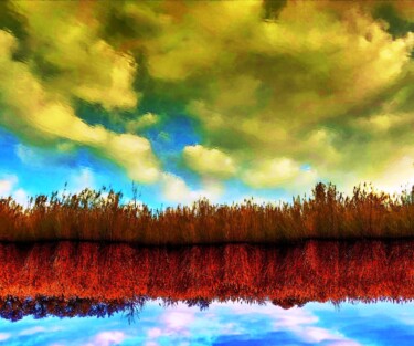 Photography titled "Reed bed under the…" by Jean-Michel Grenier, Original Artwork, Digital Photography