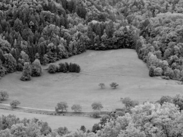 Photography titled "Prairie de montagne" by Jean-Michel Liewig, Original Artwork