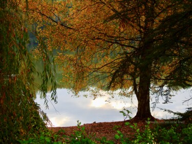 Photographie intitulée "AU BORD DE L'EAU" par Jean-Michel Liewig, Œuvre d'art originale