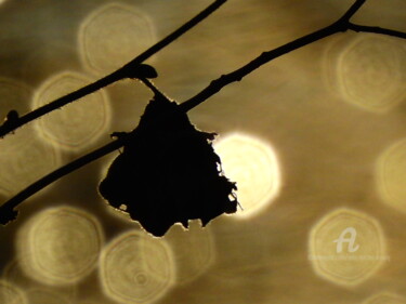 Photographie intitulée "Ombres et reflets" par Jean-Michel Liewig, Œuvre d'art originale