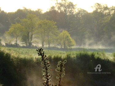 Photographie intitulée "matin brumeux" par Jean-Michel Liewig, Œuvre d'art originale