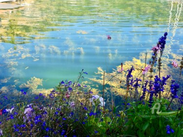 Fotografie getiteld "Fleurs de lac" door Jean-Michel Liewig, Origineel Kunstwerk