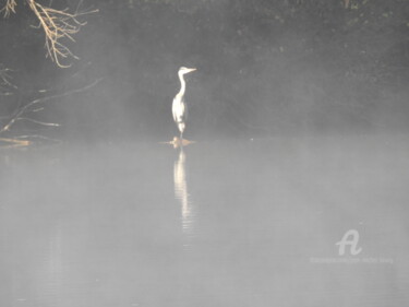 Photographie intitulée "Brume d'héron" par Jean-Michel Liewig, Œuvre d'art originale