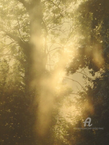 Photographie intitulée "Brume dorée" par Jean-Michel Liewig, Œuvre d'art originale, Photographie non manipulée