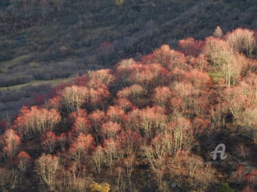 Fotografie mit dem Titel "Quand l'automne arr…" von Jean-Michel Liewig, Original-Kunstwerk, Digitale Fotografie