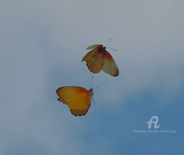 Fotografia intitulada "Amour papillons" por Jean-Michel Liewig, Obras de arte originais