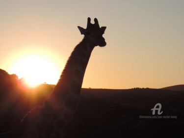 Photography titled "Ombre d'Afrique" by Jean-Michel Liewig, Original Artwork