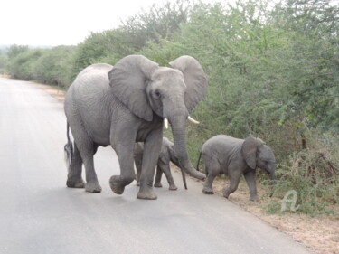 Photographie intitulée "Famille Éléphant" par Jean-Michel Liewig, Œuvre d'art originale