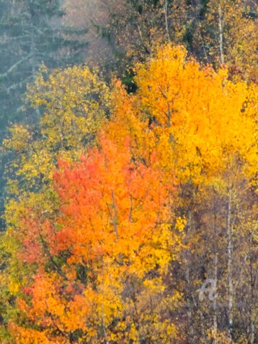 Photographie intitulée "Feuilles d'or" par Jean-Michel Liewig, Œuvre d'art originale