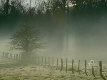 Fotografie mit dem Titel "Brume" von Jean-Michel Liewig, Original-Kunstwerk