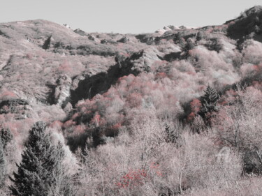 Photographie intitulée "Dominante rouge" par Jean-Michel Liewig, Œuvre d'art originale