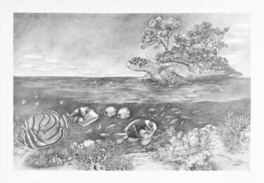 Desenho intitulada "L' ile de la tortue" por Jean Paul Boyer, Obras de arte originais, Lápis