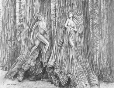 Drawing titled "Les fées de la forêt" by Jean Paul Boyer, Original Artwork, Pencil