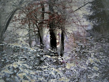 Arte digitale intitolato "L'hiver au parc" da Gipéhel, Opera d'arte originale, Fotomontaggio