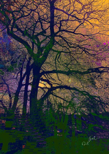 Photography titled "L'arbre  mysterieux" by Gipéhel, Original Artwork, Digital Photography