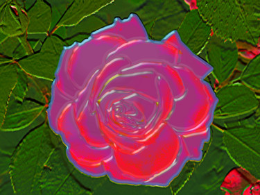 Photography titled "p1010943-rose-106.j…" by Jean-Paul Martin, Original Artwork