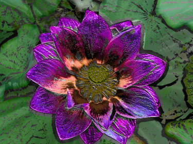 Photographie intitulée "257b60-lotus-violac…" par Jean-Paul Martin, Œuvre d'art originale