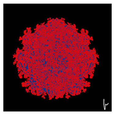 Arts numériques intitulée "Rosette rouge et bl…" par Jean Paul Pierozzi, Œuvre d'art originale