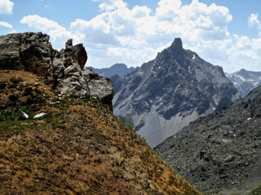 Fotografia zatytułowany „Aiguille du fruit 2” autorstwa Jean Paul Rosso, Oryginalna praca