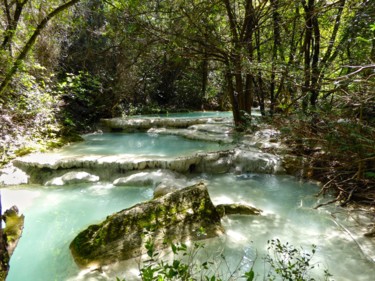 Fotografia zatytułowany „Source de l'Huveaun…” autorstwa Jean Paul Rosso, Oryginalna praca