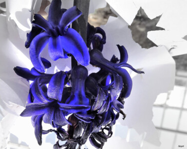 Фотография под названием "Weadi/purpleSmoke" - Jean Philippe Desmoulins, Подлинное произведение искусства, Цифровая фотограф…