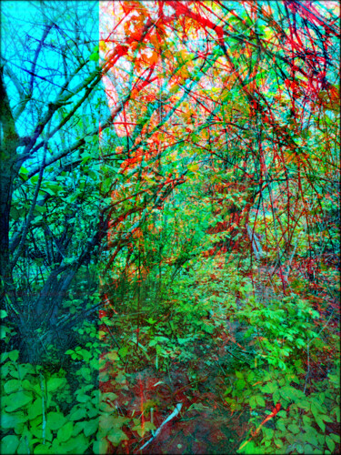 Photography titled "Jungle vibes" by Jean Philippe Desmoulins, Original Artwork, Manipulated Photography